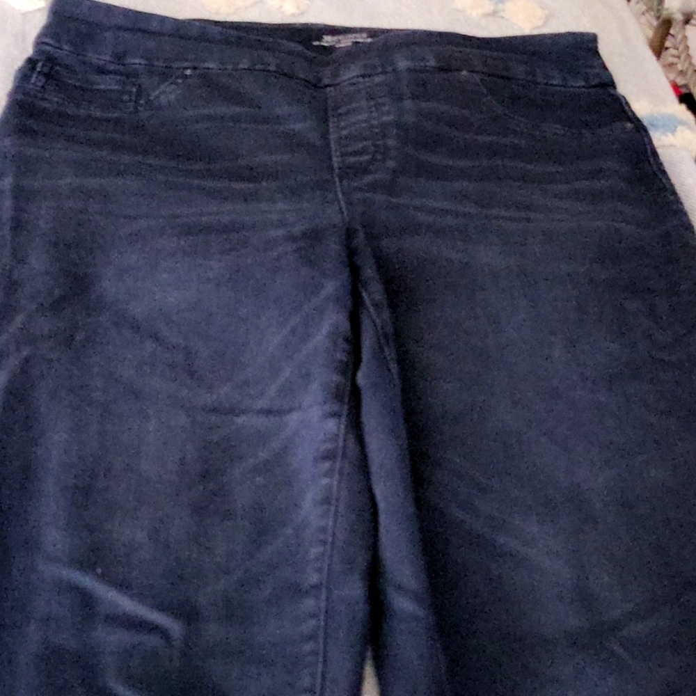 Chicos Jeggings
